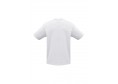 T10012 - MENS Ice 100% Cotton T-Shirt